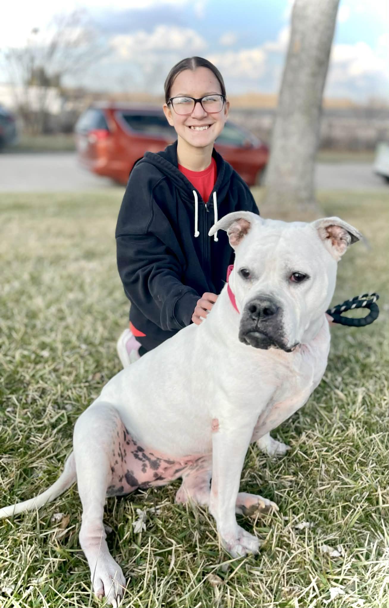 Enlarge Sadie, a Adoptable American Bulldog in Elyria, OH image 2/6
