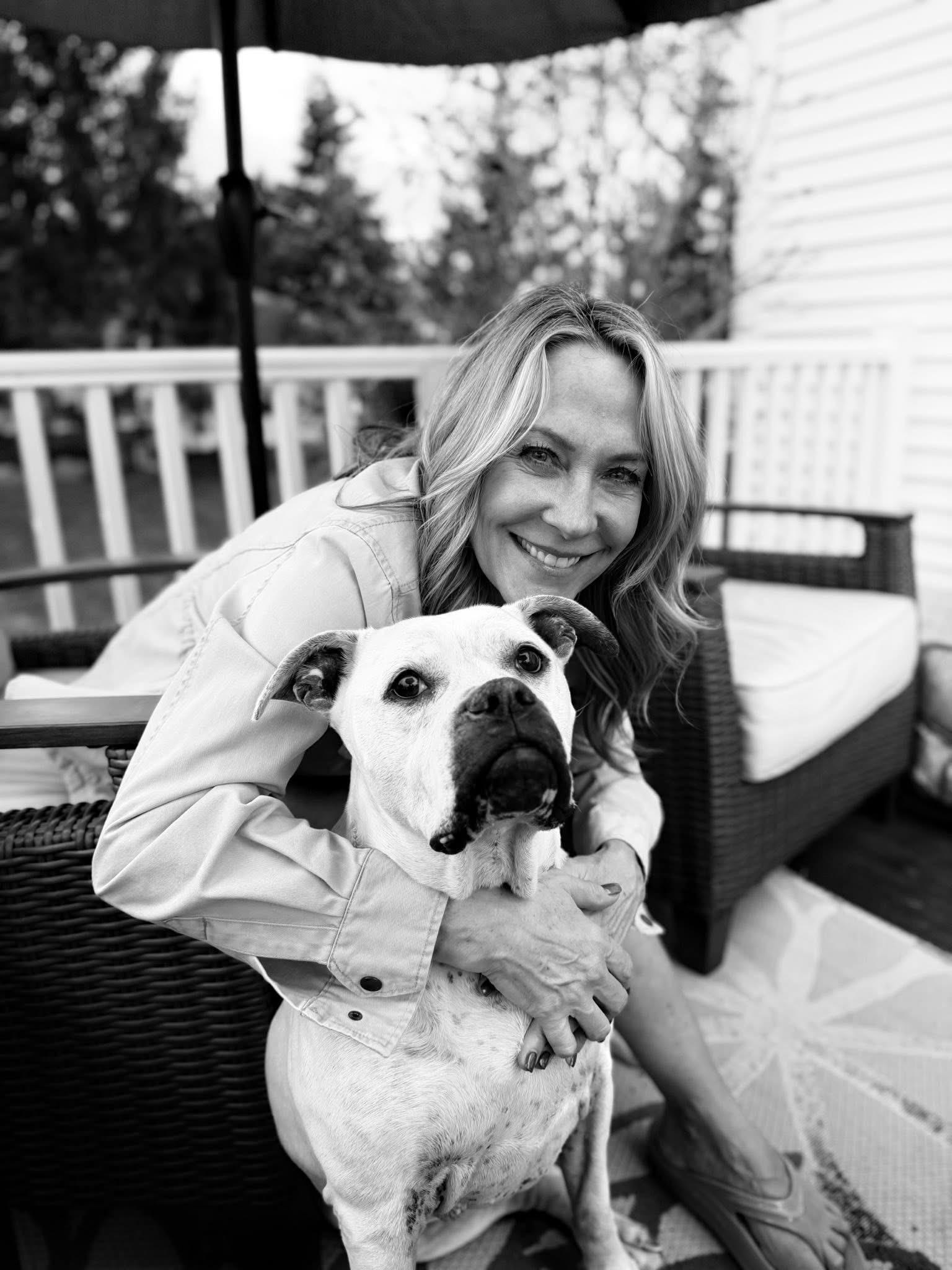 Enlarge Sadie , a Adoptable American Bulldog in Elyria, OH image 2/6