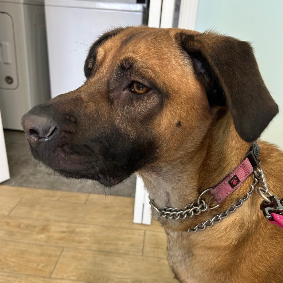 SASSY — thumbnail 4