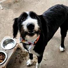 Livey — thumbnail 3