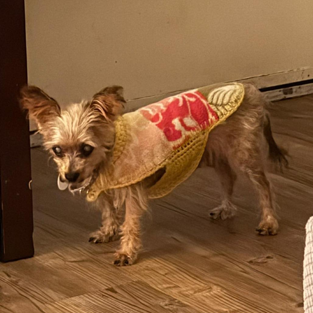 Denise — thumbnail 4