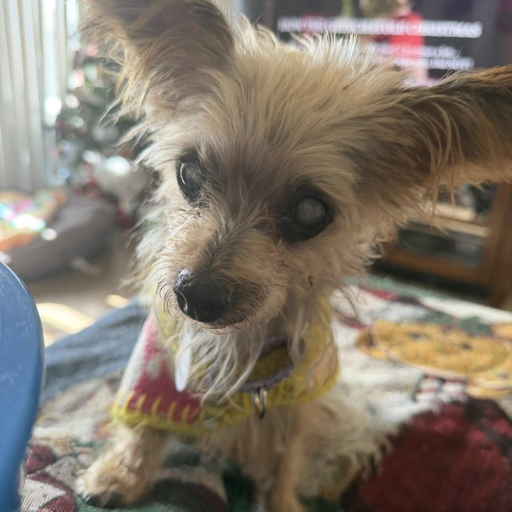 Denise — thumbnail 5