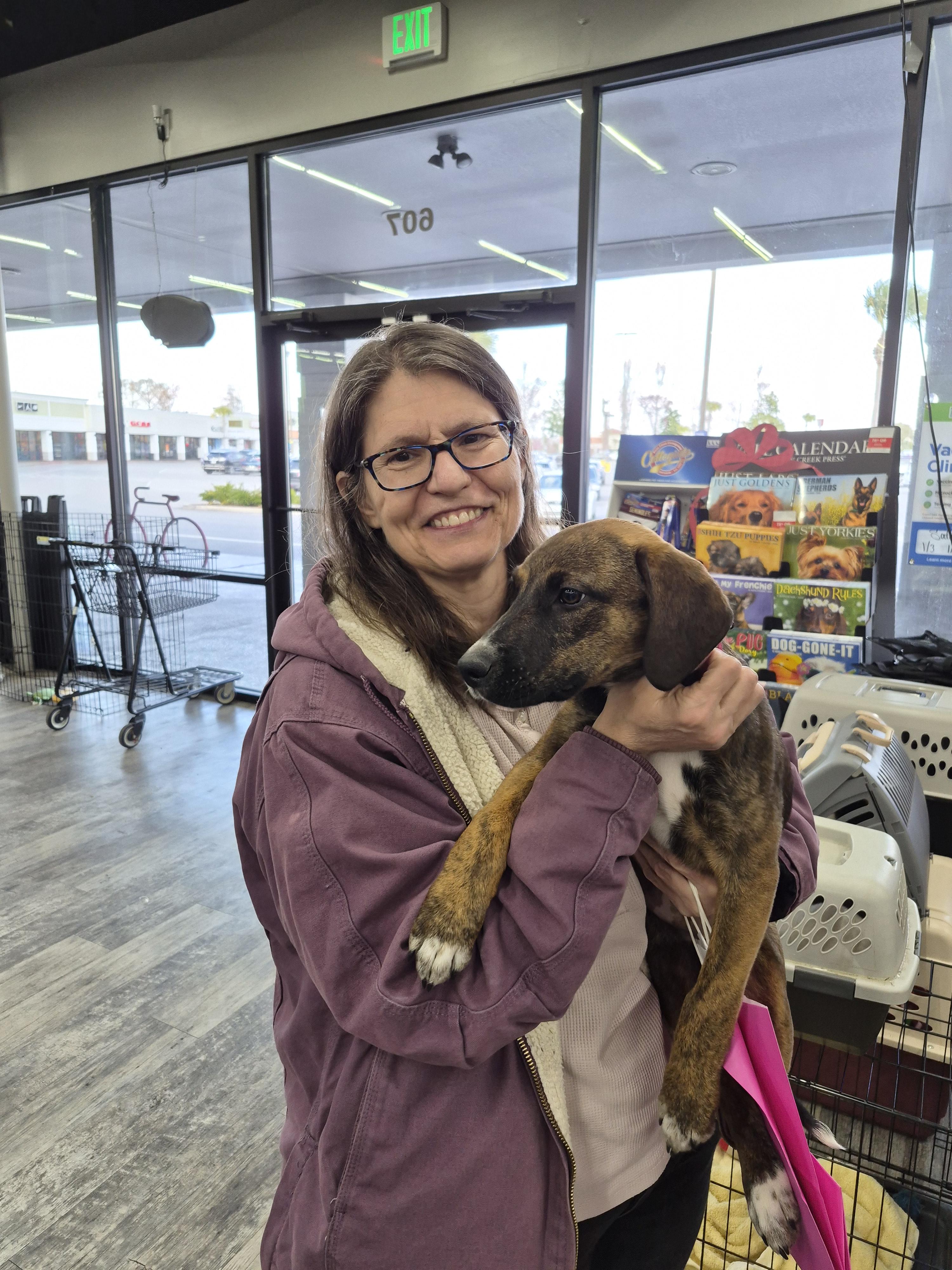 Stella, a Adopted German Shepherd Dog in Panama City, FL image 5/6