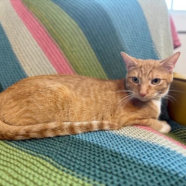 Nico Hernandez — thumbnail 2