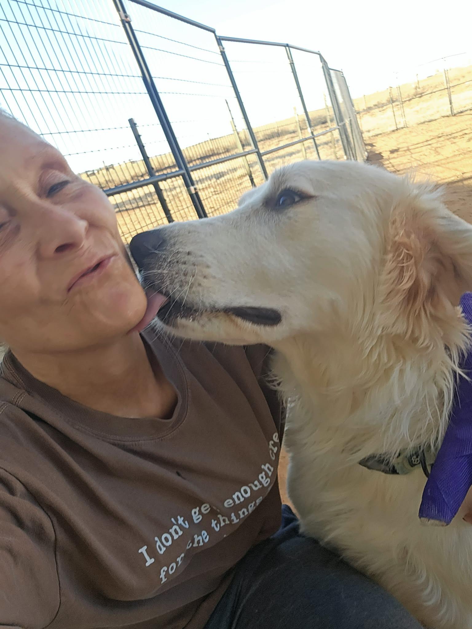 Enlarge WINNIE, a Adopted mixed breed in Chandler, AZ image 2/2