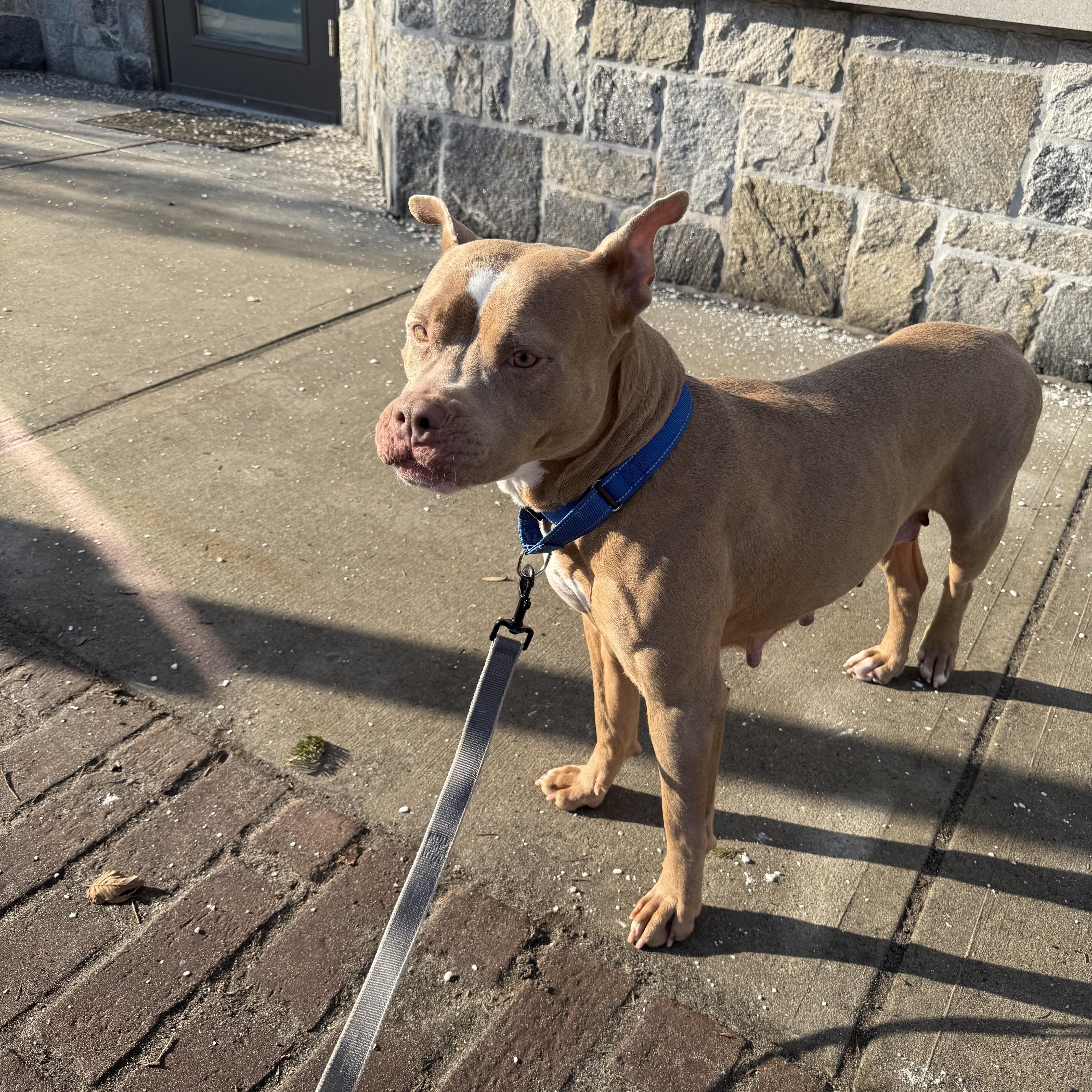 Nikki Noodle thumbnail 5