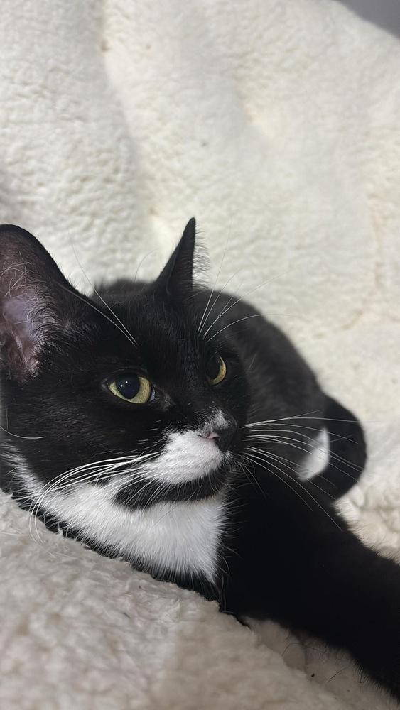 Florence — thumbnail 2