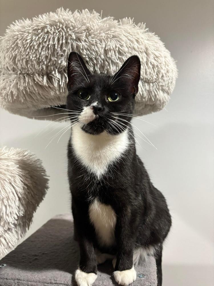 Florence — thumbnail 3