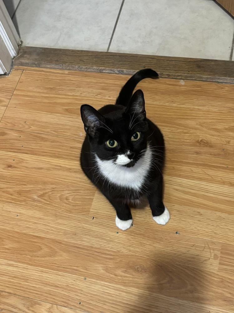 Florence — thumbnail 4