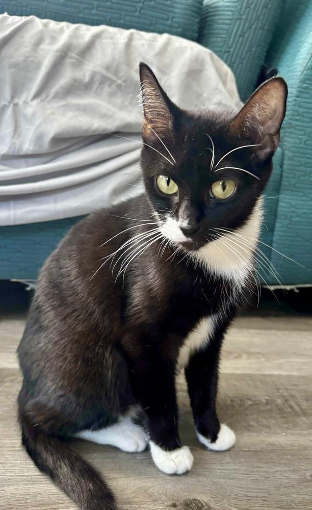 Florence — thumbnail 5