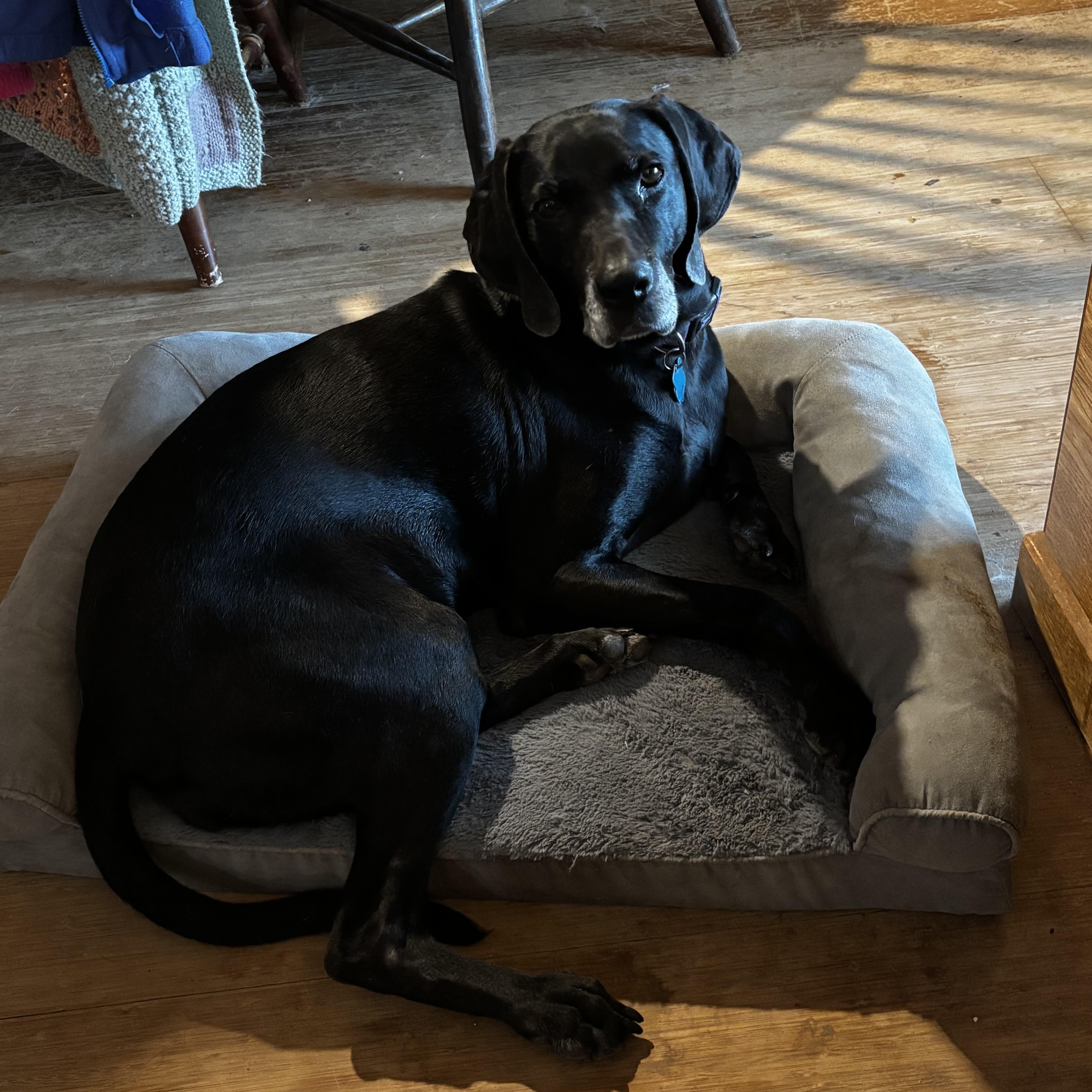 Danica — thumbnail 5