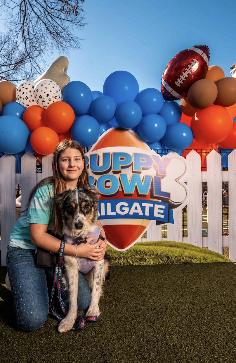 Enlarge Georgie, a Adoptable Australian Shepherd in Arlington, TX image 3/6