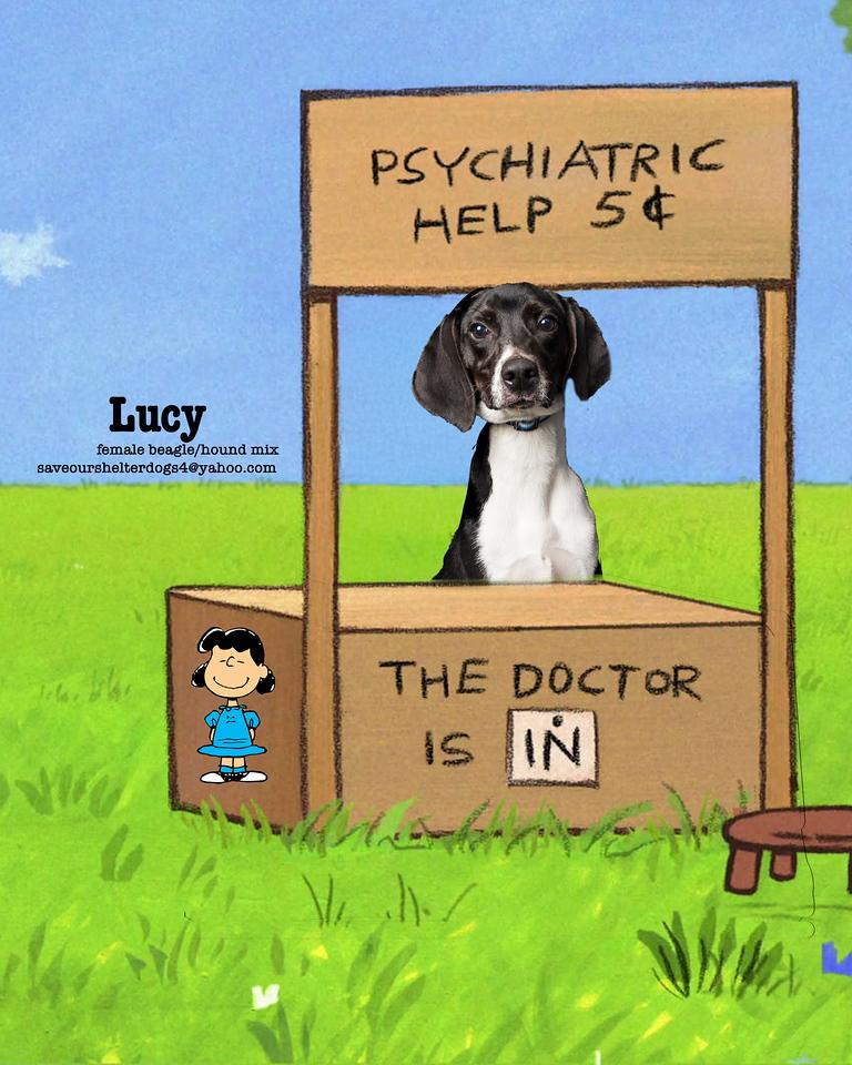 Lucy
