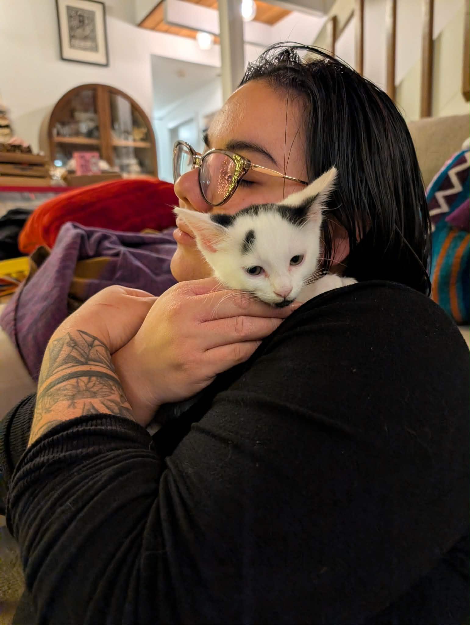 Enlarge Dottie Dear, an adopted Tuxedo in Woodinville, WA image 3/5