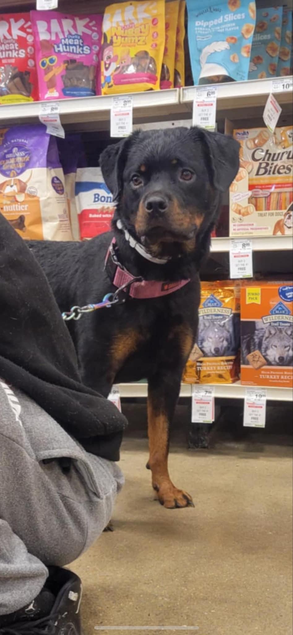 Nala