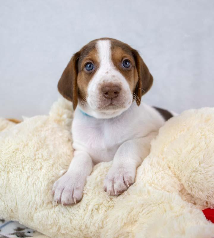 Jackson — thumbnail 4