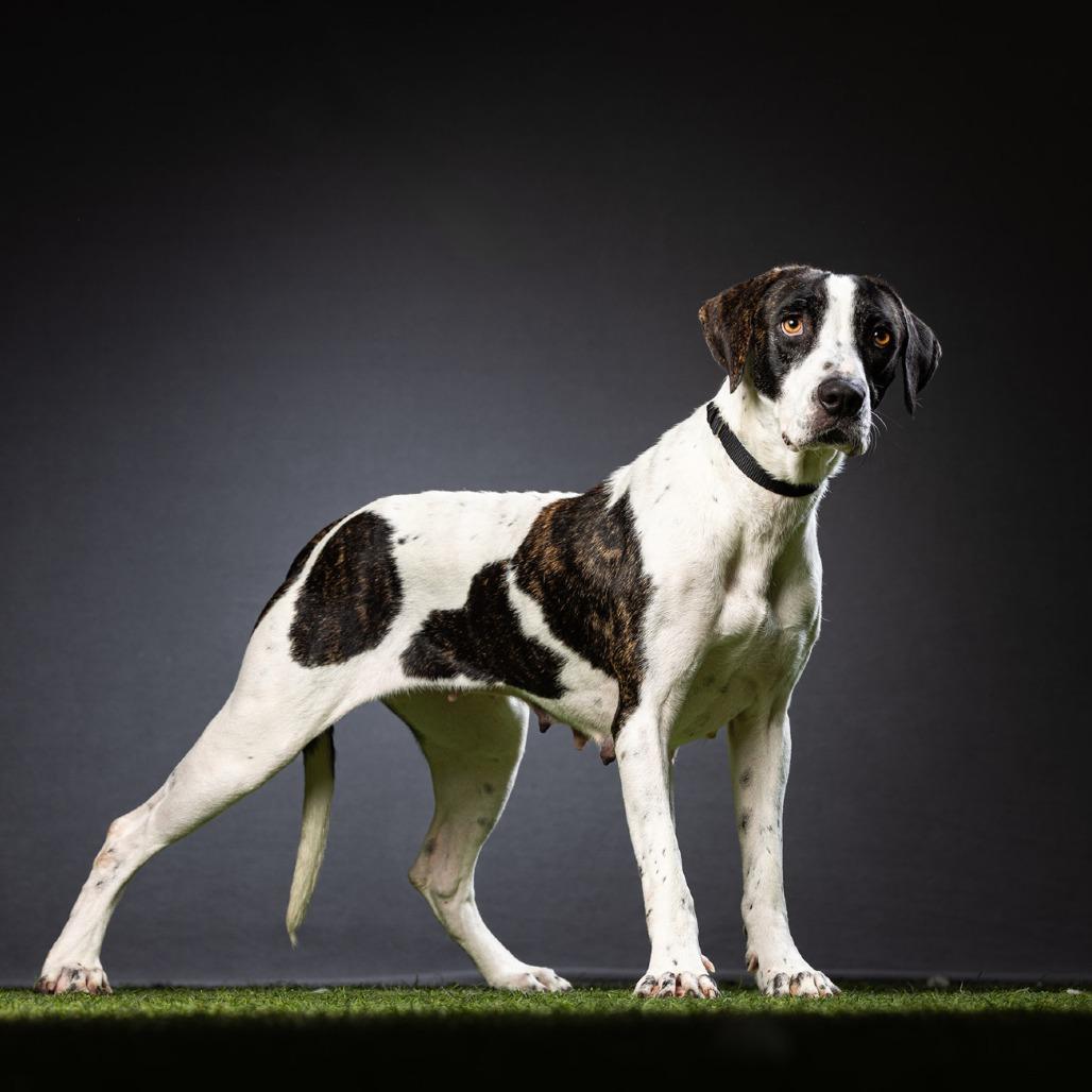 Jasmine — thumbnail 2