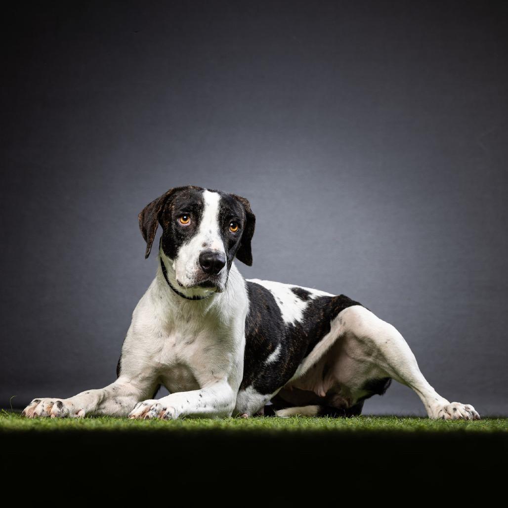 Jasmine — thumbnail 5