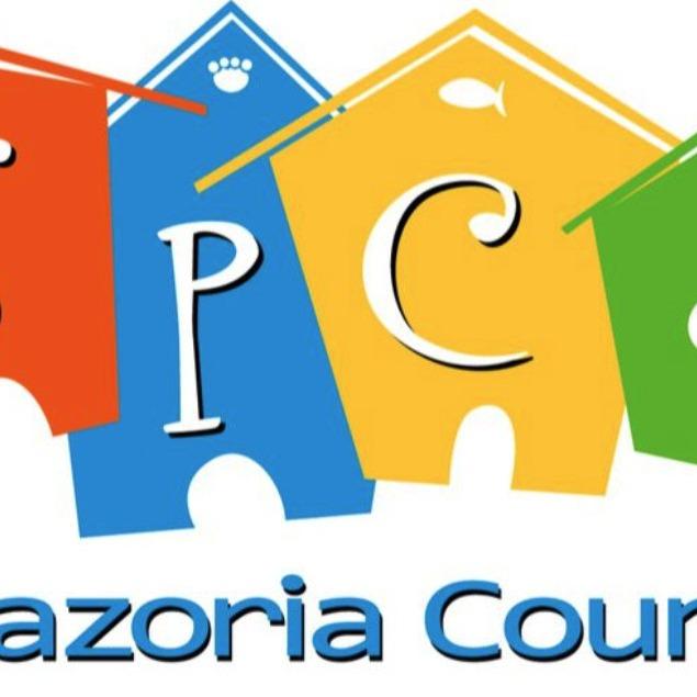 Enlarge Connie, a Adoptable Mixed Breed in Lake Jackson, TX image 3/3