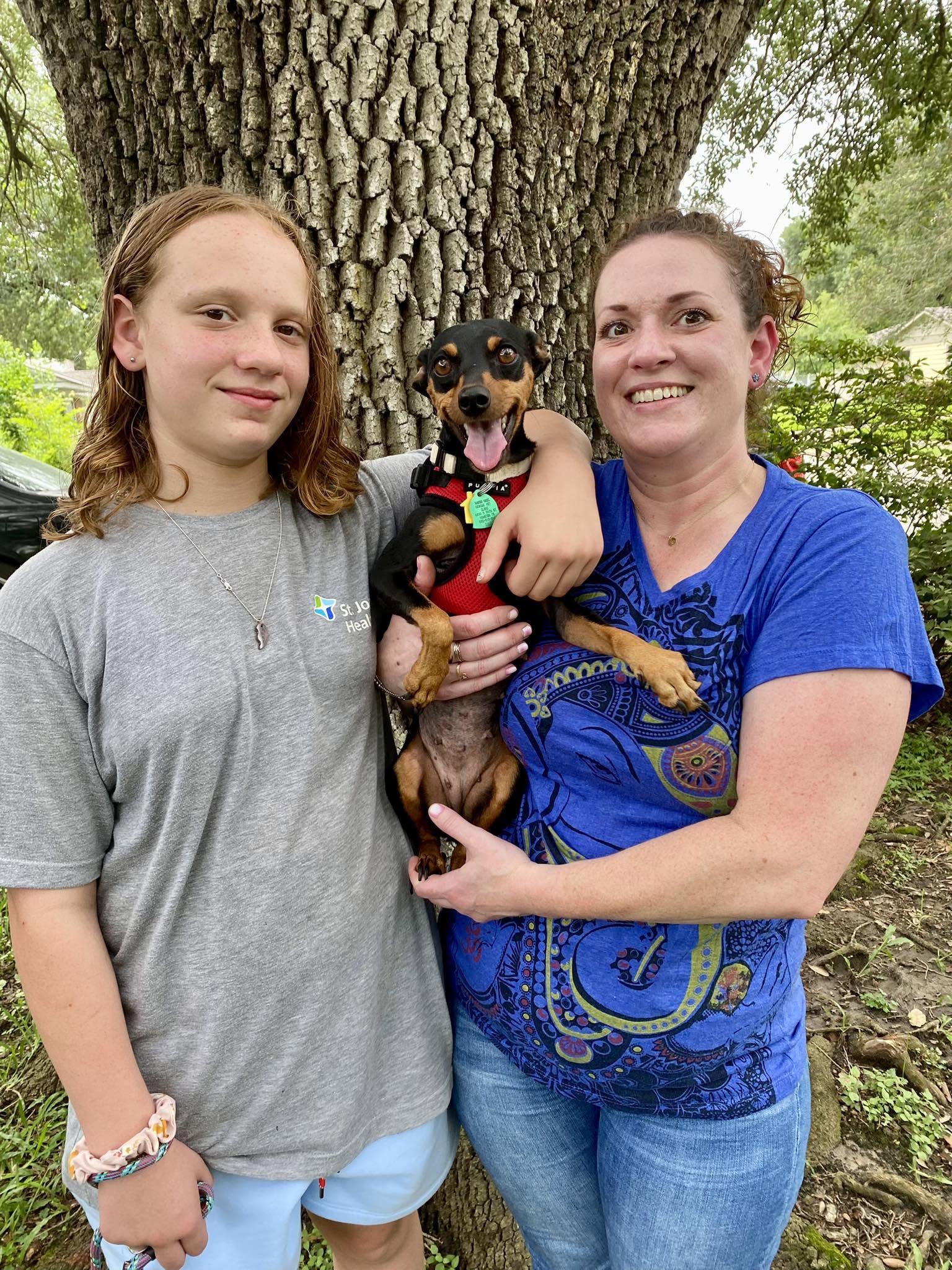 Wednesday - ADOPTED, a ADOPTABLE Miniature Pinscher in Houston, TX image 5/6