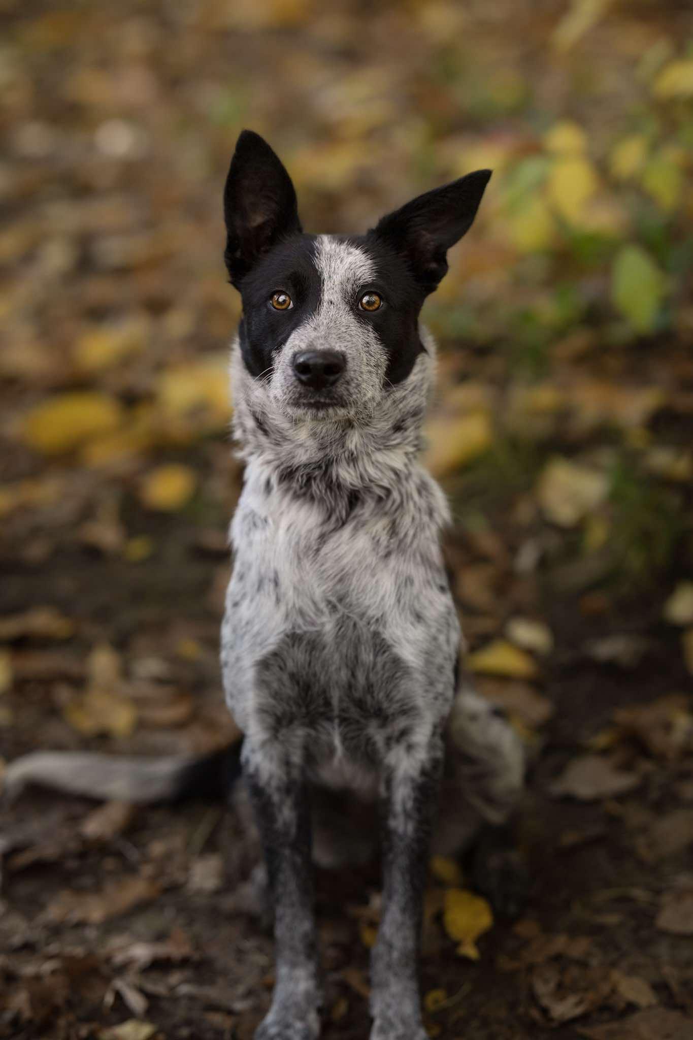 SPRITE **she swims!**