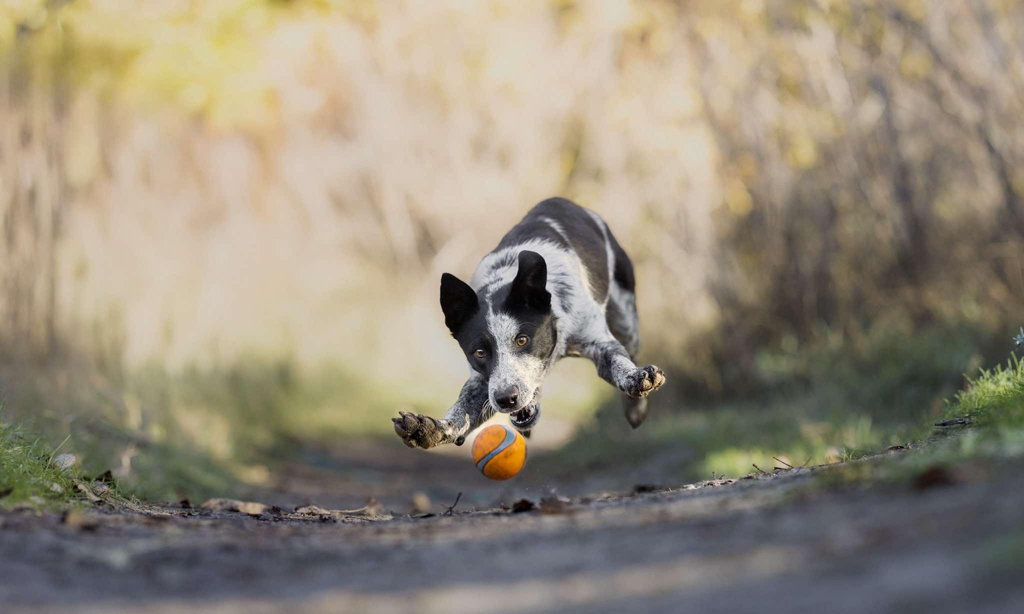 SPRITE **she swims!**