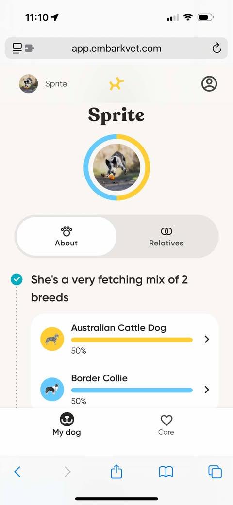 SPRITE **she swims!**, a Adoptable mixed breed in Nampa, ID image 5/6