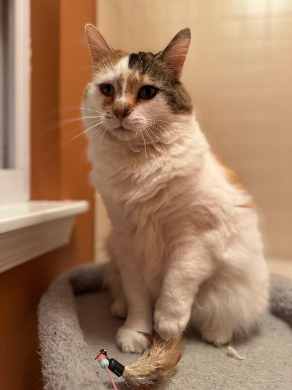 Chloe — thumbnail 3