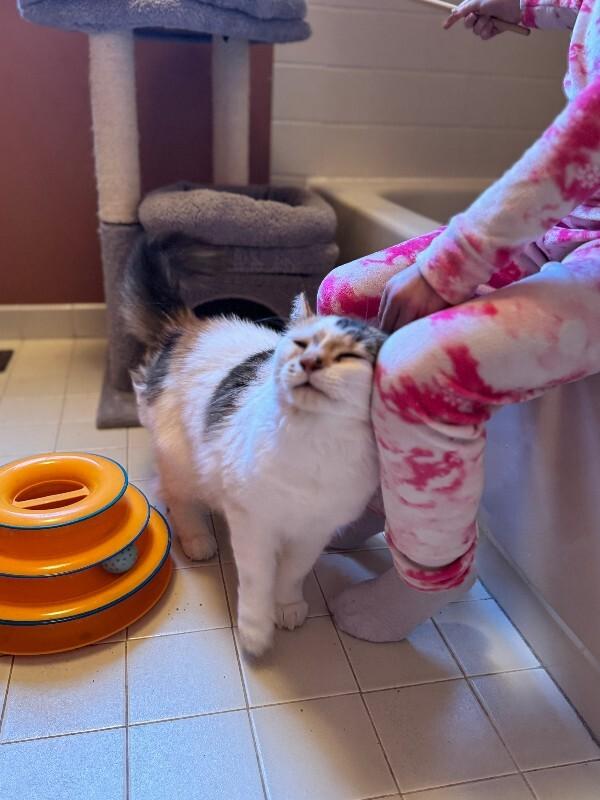 Chloe — thumbnail 4