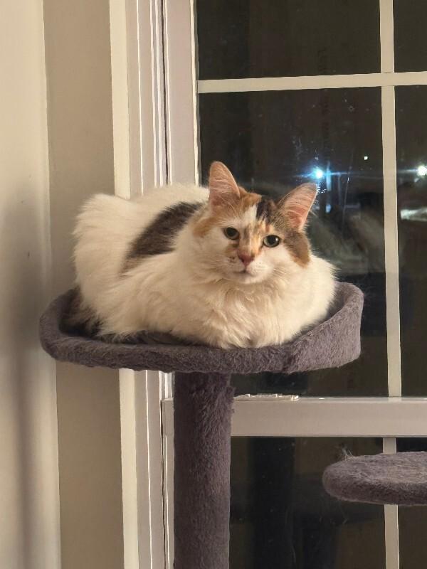 Chloe — thumbnail 6