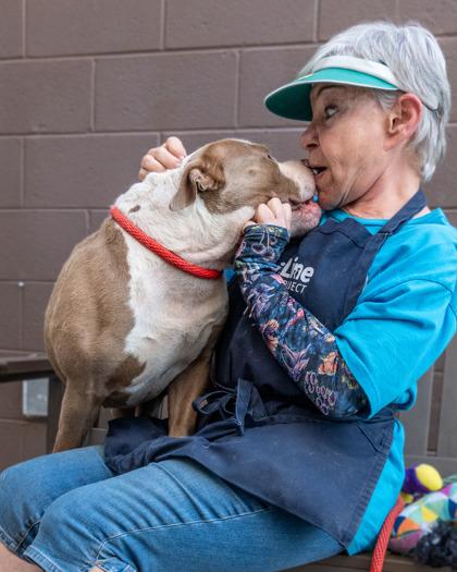 Enlarge Tuffy, a Adoptable Mixed Breed in Chamblee, GA image 2/3