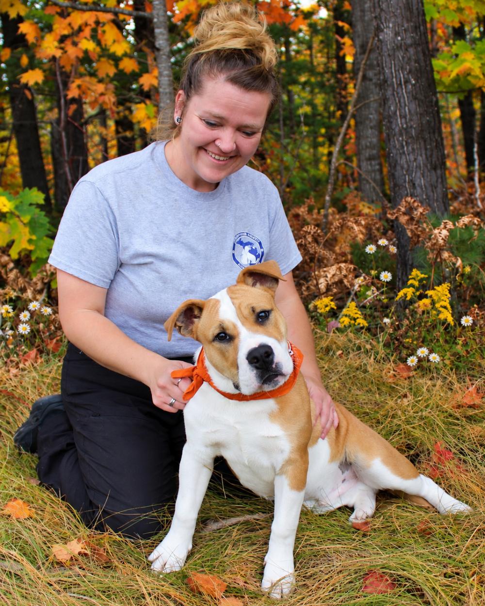 Enlarge Goff, a Adoptable mixed breed in Cheboygan, MI image 2/6