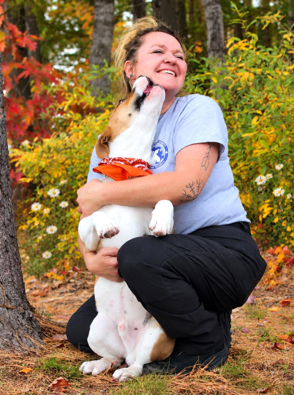 Enlarge Goff, a Adoptable mixed breed in Cheboygan, MI image 4/6