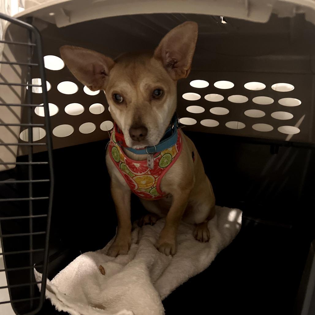 Betty Lou thumbnail 3