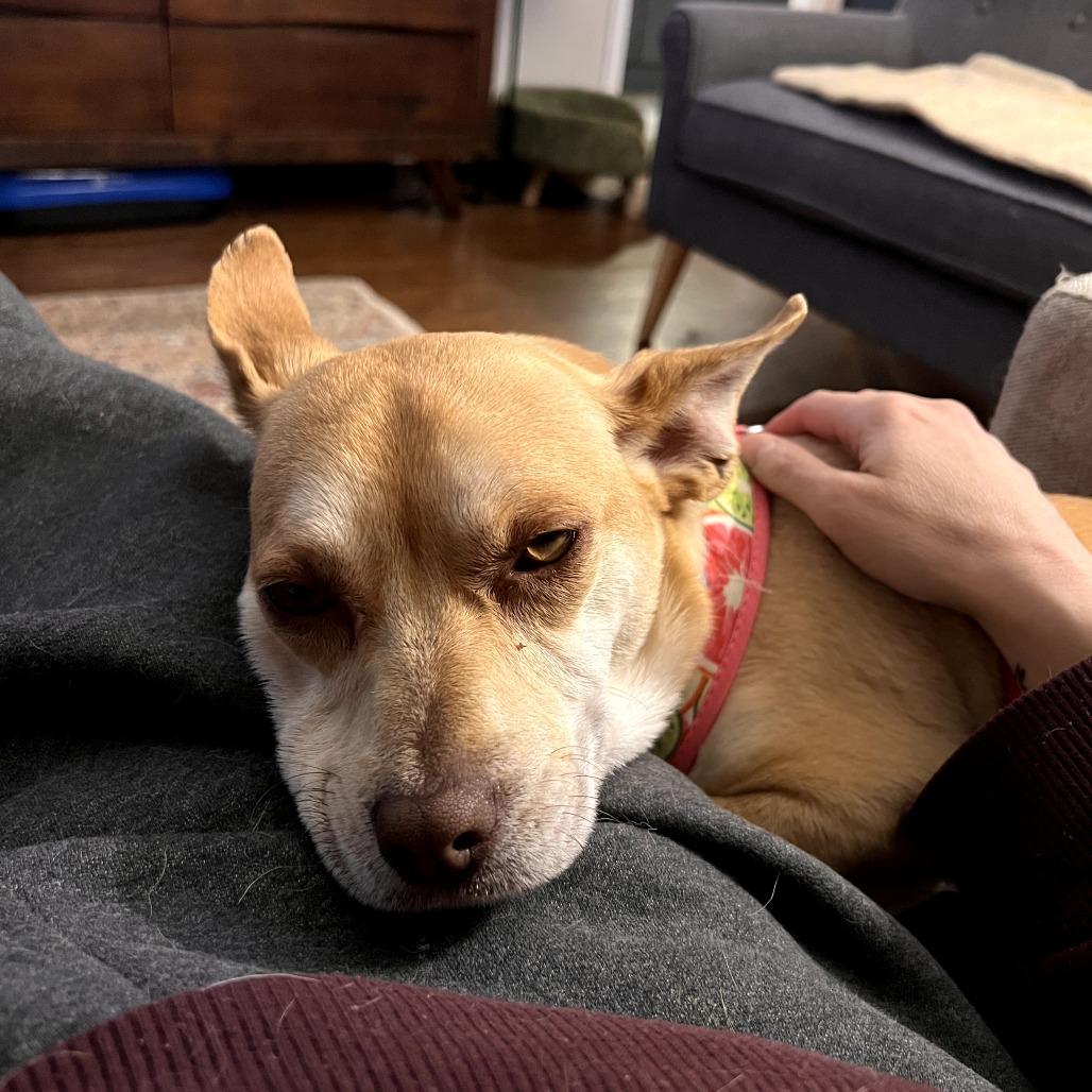 Betty Lou thumbnail 6