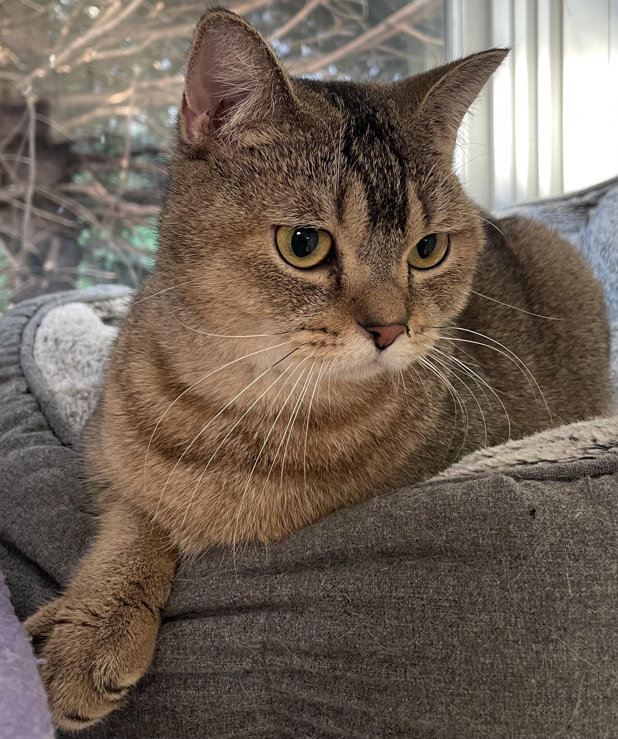 Marlo