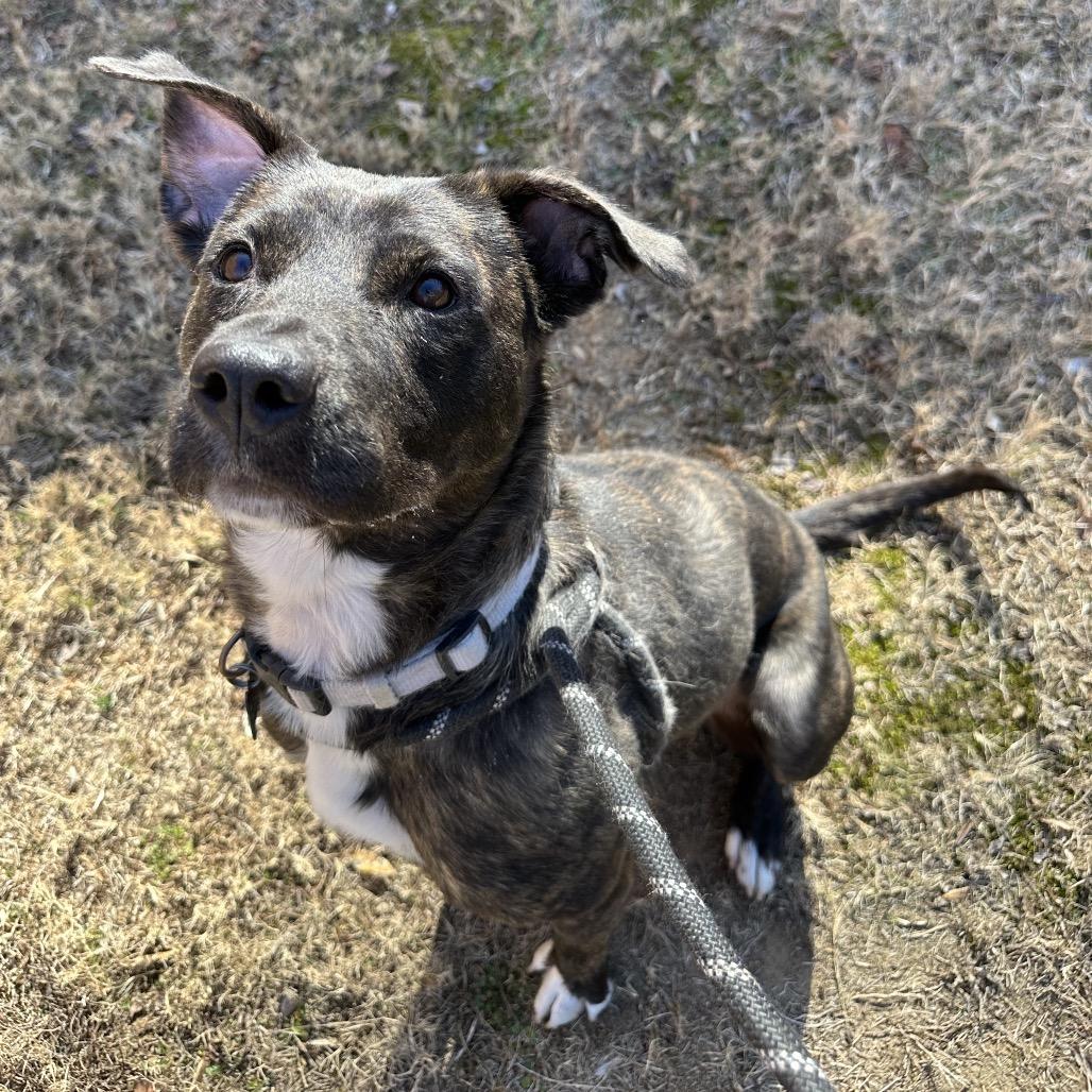 Joy 3025 — thumbnail 6