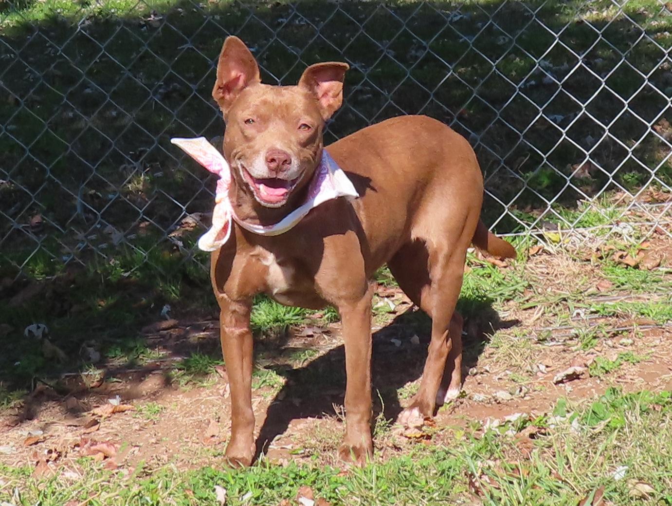 Kelly  C thumbnail 5