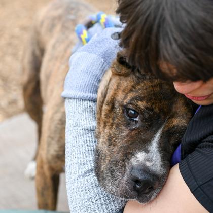 Adele — thumbnail 3