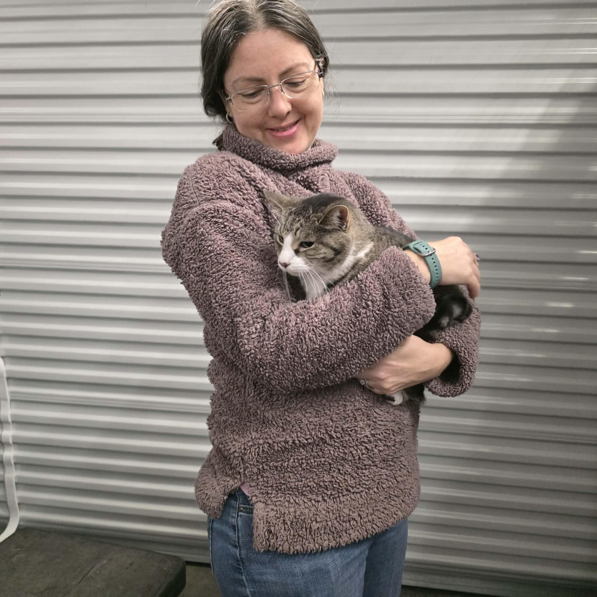 Enlarge Whisky, an adopted mixed breed in Chicago, IL image 5/6