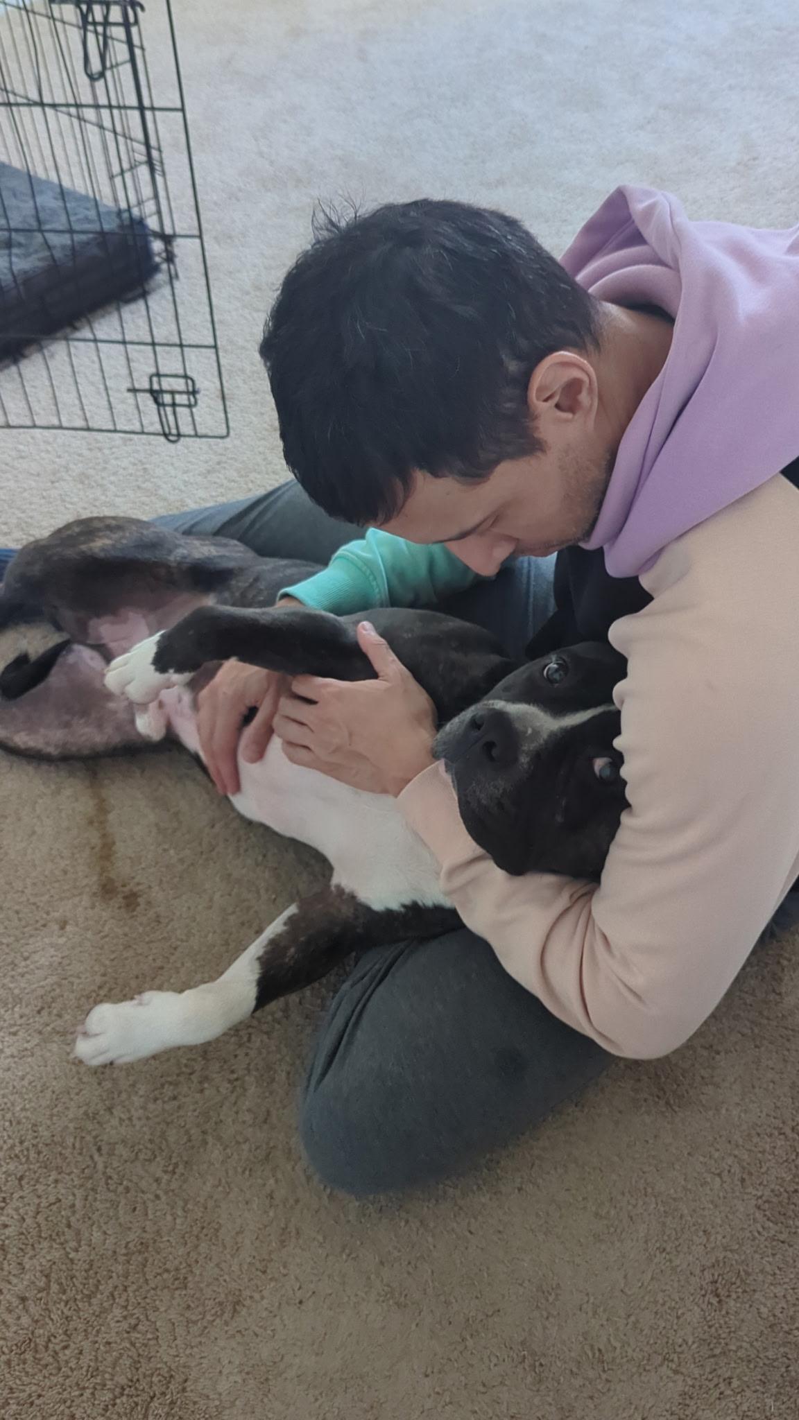 Enlarge Sammy, a Adoptable mixed breed in Woodbridge, VA image 5/6