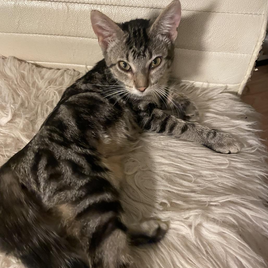 Vera — thumbnail 2