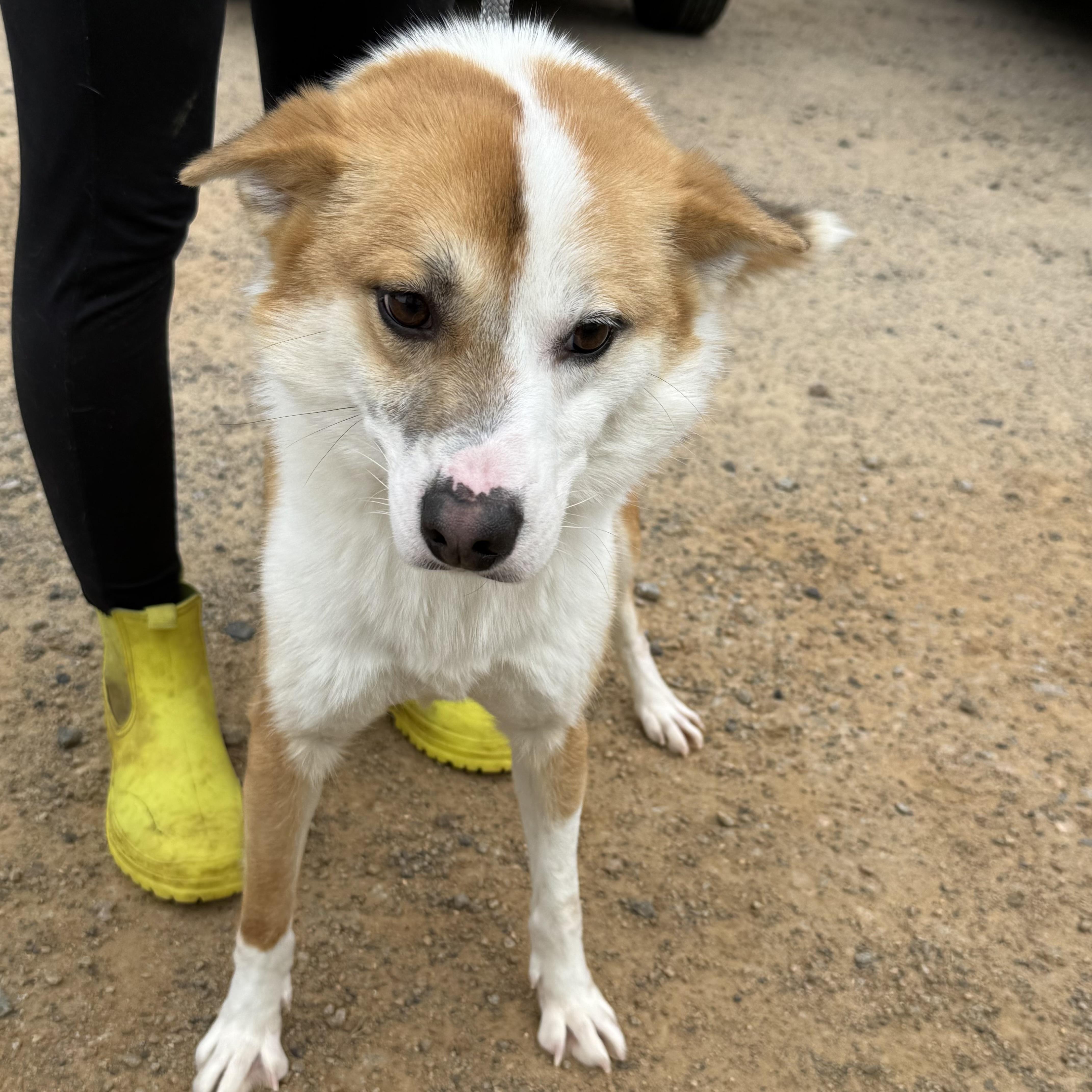 Todd — thumbnail 4