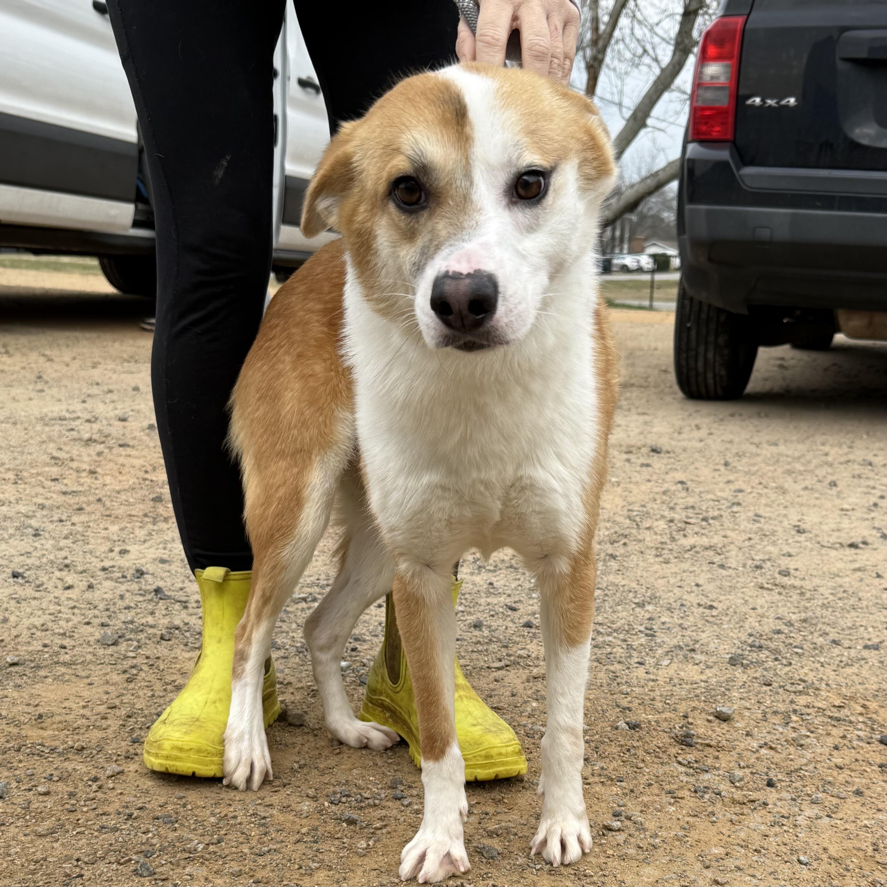 Todd — thumbnail 5