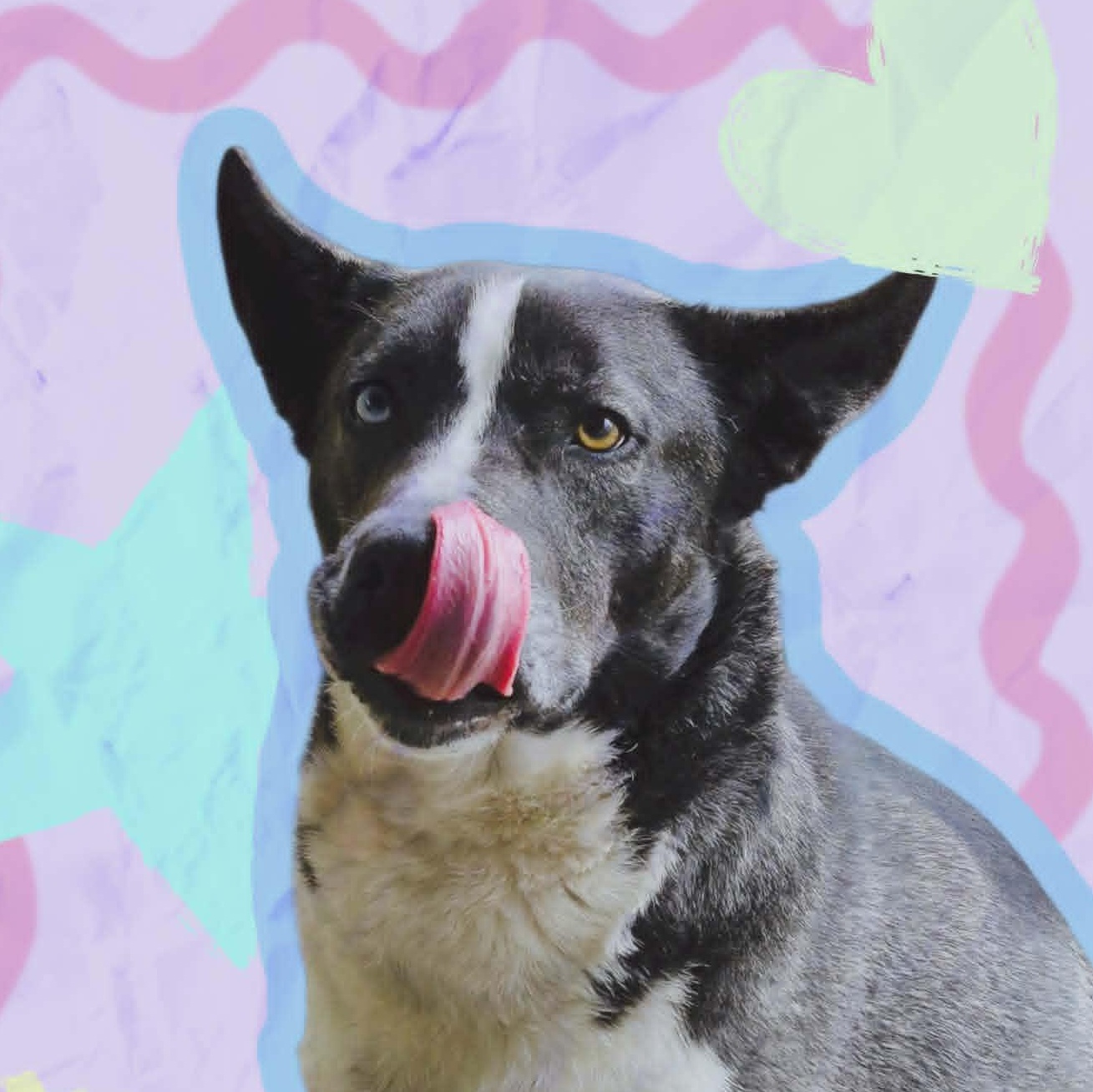 Mabel — thumbnail 4