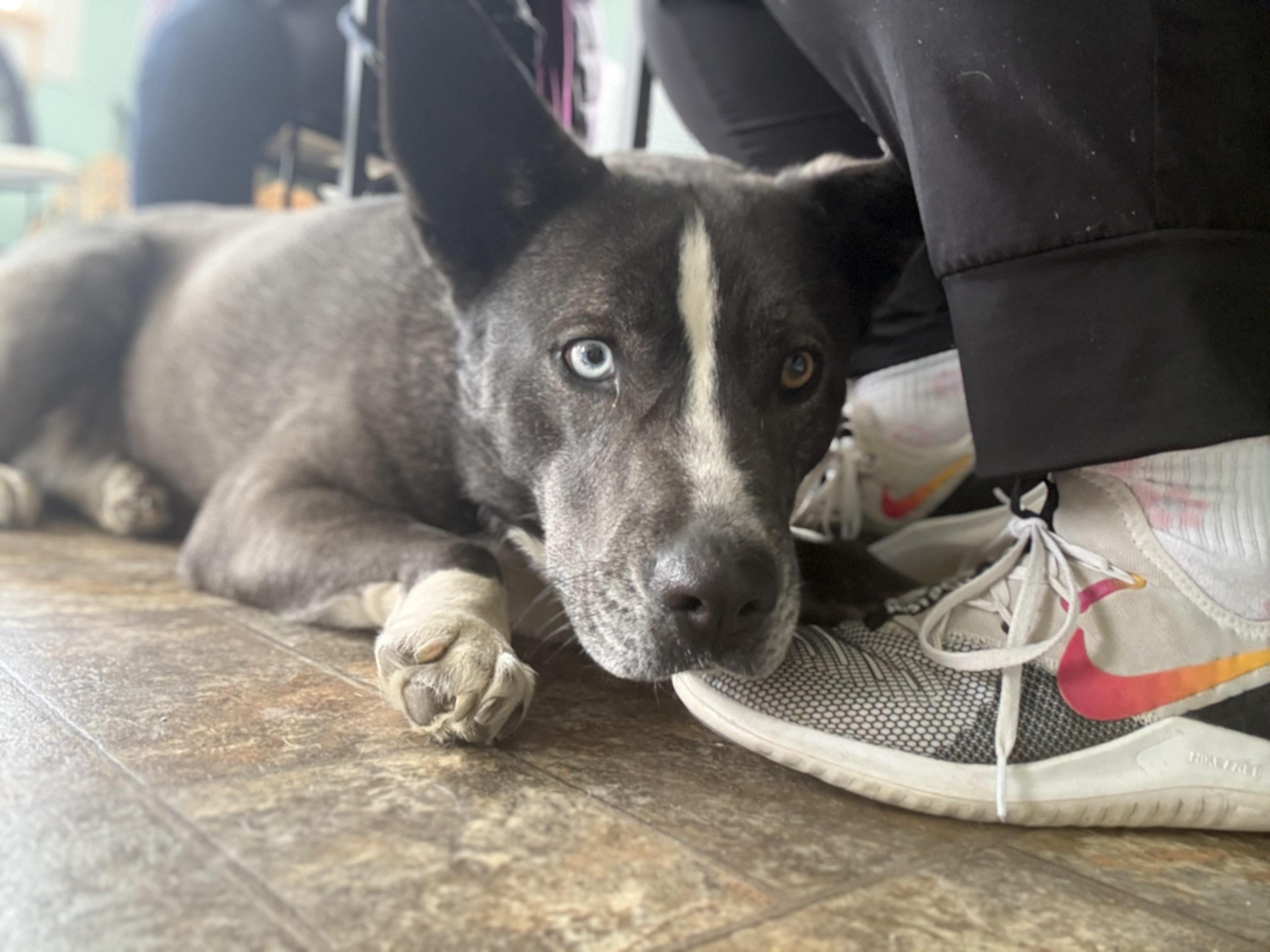 Mabel — thumbnail 5