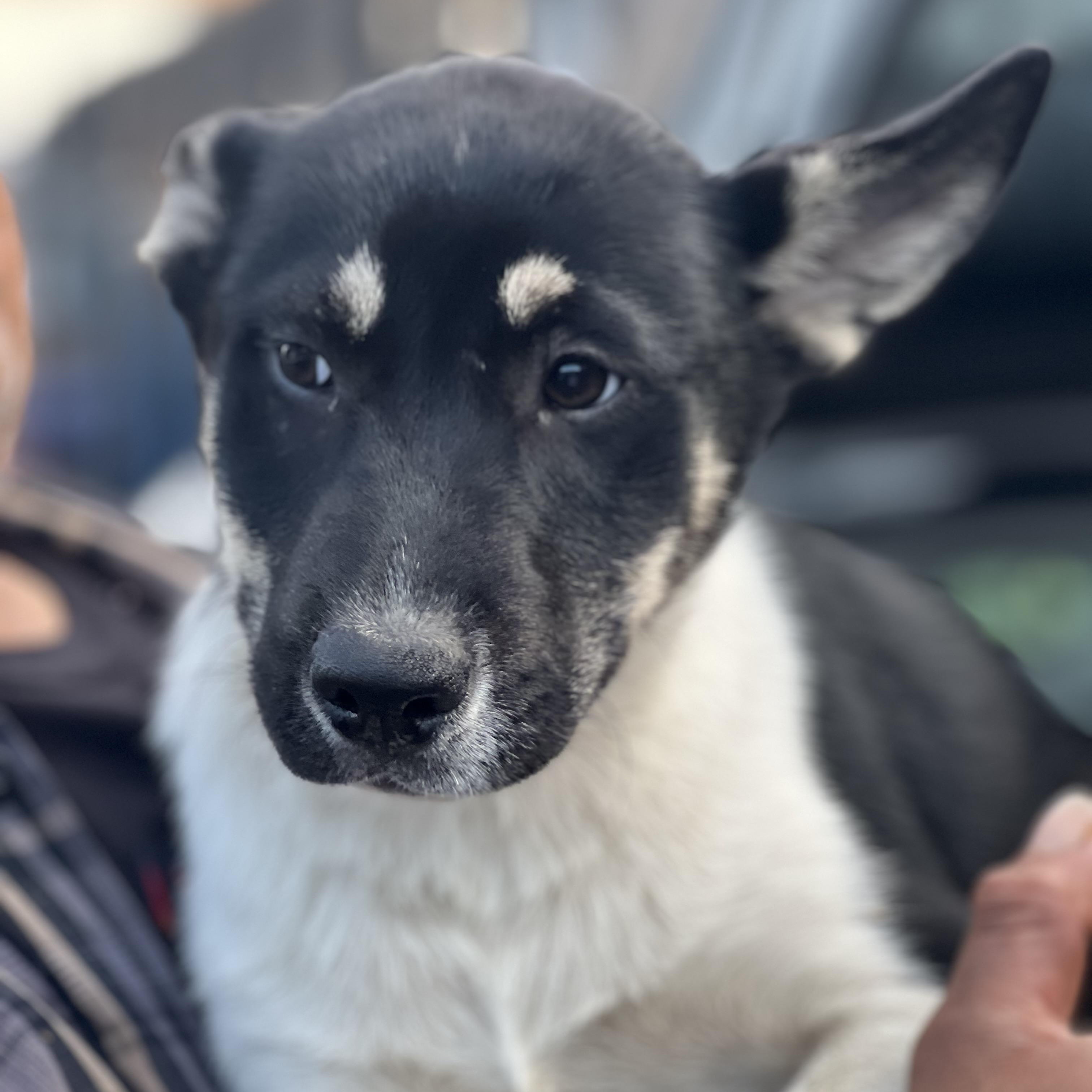 Rowan~ Calm And Loving thumbnail 2