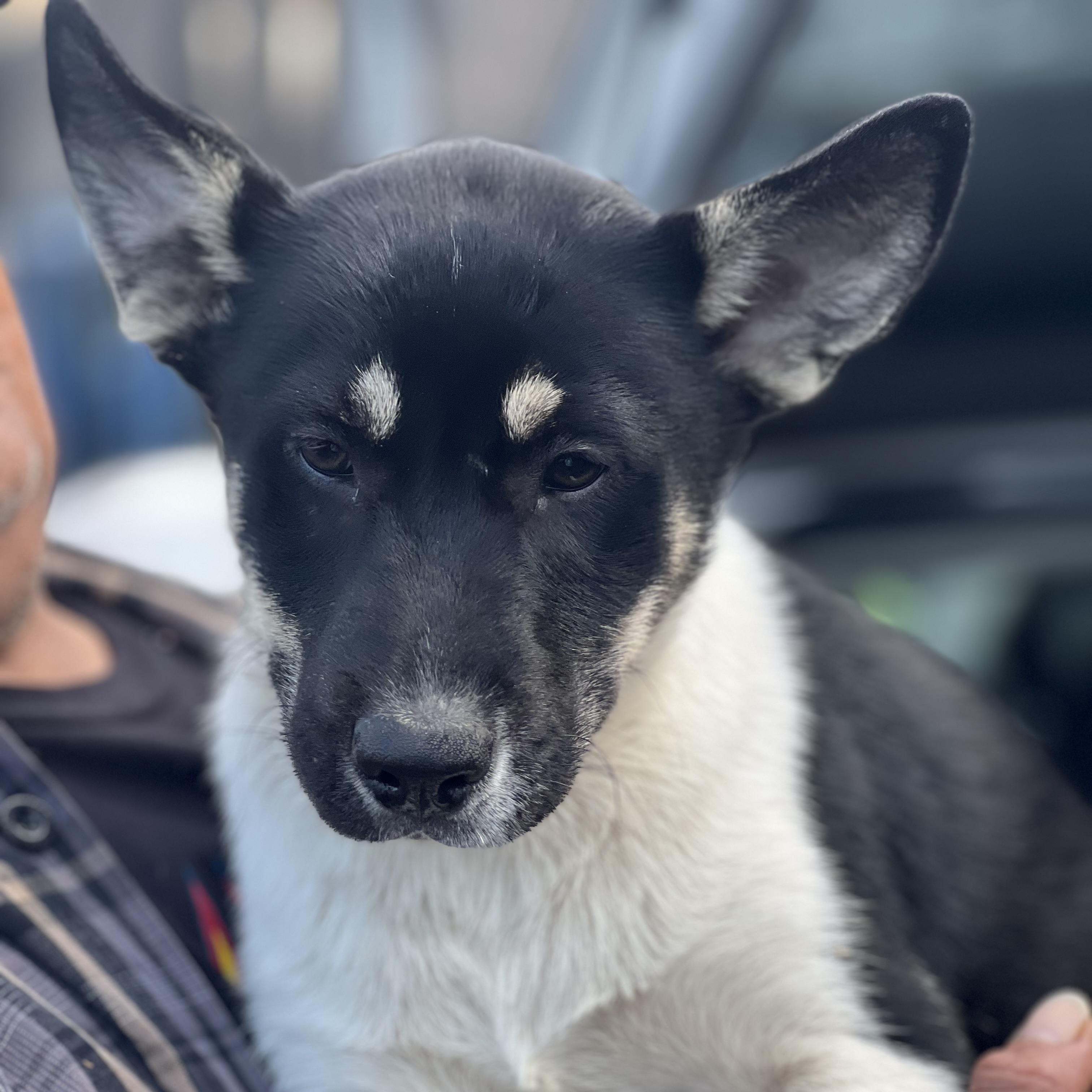 Rowan~ Calm And Loving