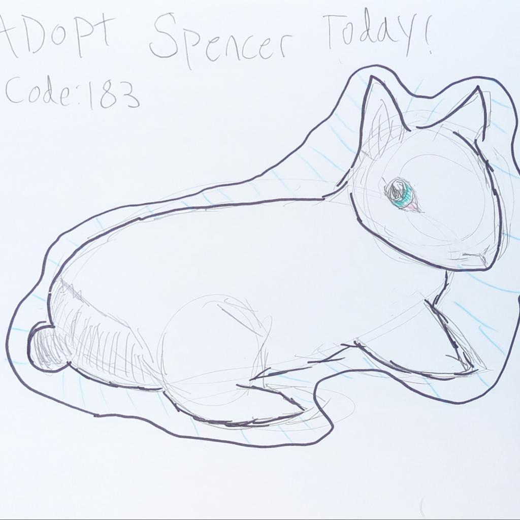 Enlarge Spencer, a Adoptable Polish in Kanab, UT image 4/5