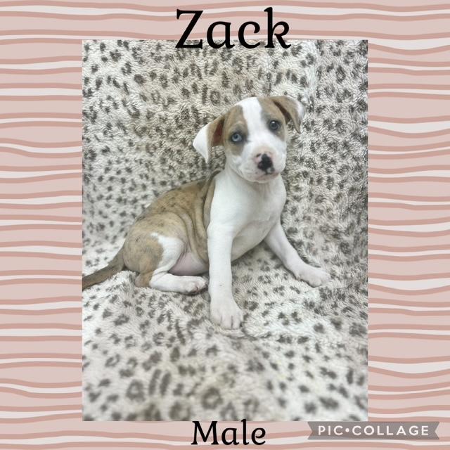 Zack
